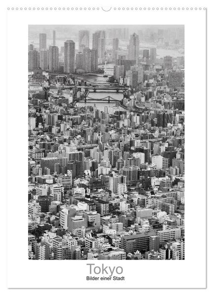 Tokyo - Bilder einer Stadt (Wandkalender 2026 DIN A2 hoch) CALVENDO Monatskalender