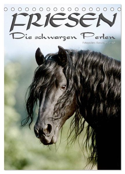 Friesen - die schwarzen Perlen (Tischkalender 2026 DIN A5 hoch) CALVENDO Monatskalender