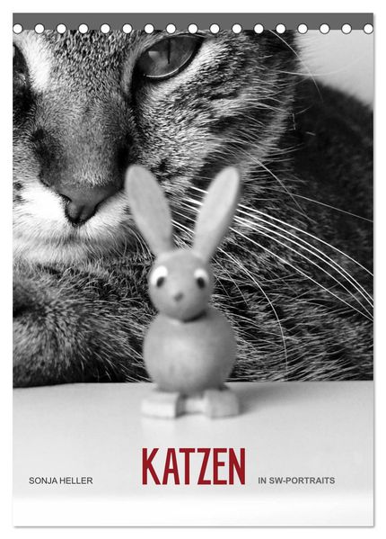 Sonja Heller Katzen in SW-Portraits (Tischkalender 2026 DIN A5 hoch) CALVENDO Monatskalender