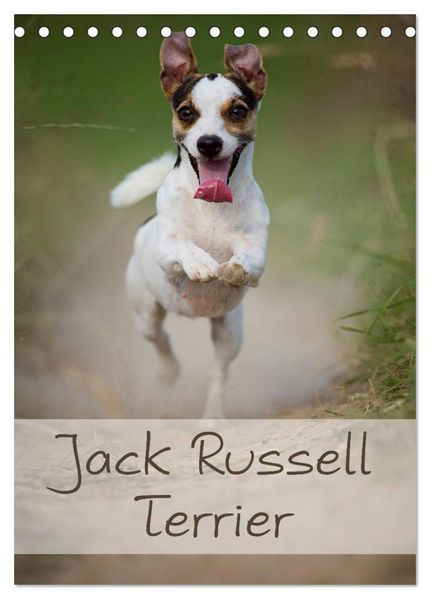 Jack Russell Terrier (Tischkalender 2026 DIN A5 hoch) CALVENDO Monatskalender