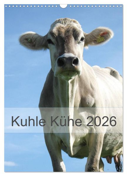 Kuhle Kühe 2026 (Wandkalender 2026 DIN A3 hoch) CALVENDO Monatskalender