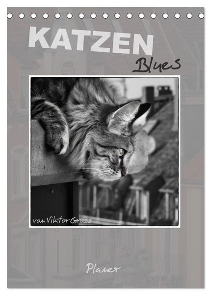 Katzen Blues / Planer (Tischkalender 2026 DIN A5 hoch) CALVENDO Monatskalender