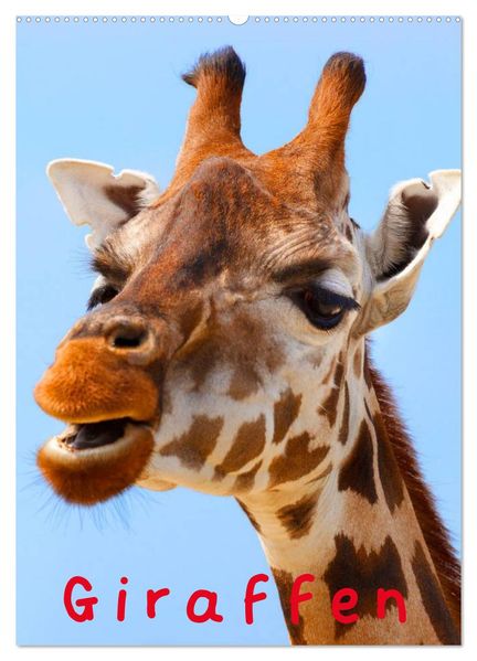 Giraffen (Wandkalender 2026 DIN A2 hoch) CALVENDO Monatskalender