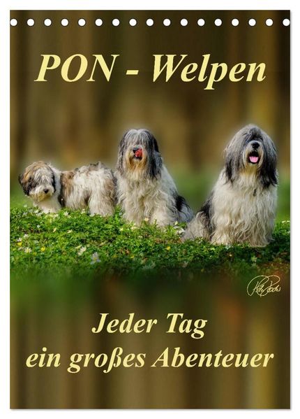 PON-Welpen - jeder Tag ein großes Abenteuer / Planer (Tischkalender 2026 DIN A5 hoch) CALVENDO Monatskalender