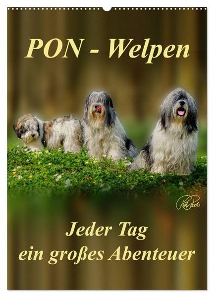 PON-Welpen - jeder Tag ein großes Abenteuer / Planer (Wandkalender 2026 DIN A2 hoch) CALVENDO Monatskalender