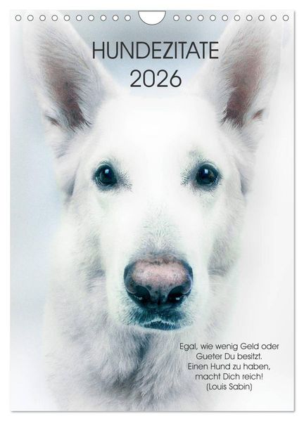 Hundezitate 2026 (Wandkalender 2026 DIN A4 hoch) CALVENDO Monatskalender
