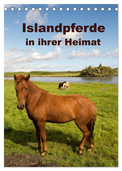Islandpferde in ihrer Heimat (Tischkalender 2026 DIN A5 hoch) CALVENDO Monatskalender