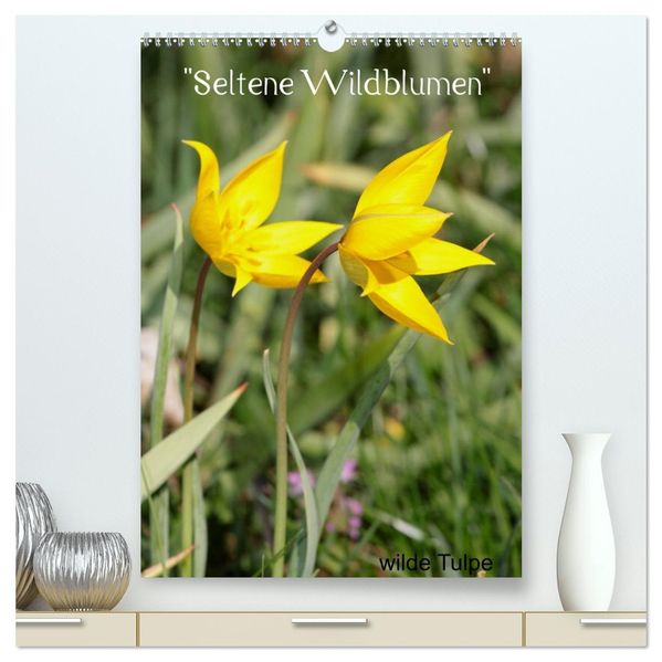 Seltene Wildblumen (hochwertiger Premium Wandkalender 2026 DIN A2 hoch) Kunstdruck in Hochglanz