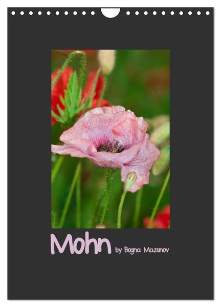 Mohn (Wandkalender 2026 DIN A4 hoch) CALVENDO Monatskalender