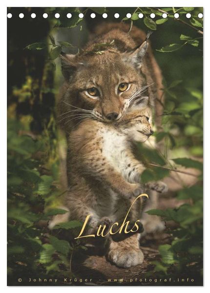 Luchs (Tischkalender 2026 DIN A5 hoch) CALVENDO Monatskalender