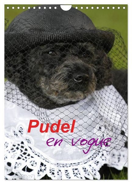 Pudel en vogue (Wandkalender 2026 DIN A4 hoch) CALVENDO Monatskalender