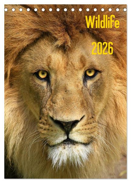 Wildlife 2026 (Tischkalender 2026 DIN A5 hoch) CALVENDO Monatskalender