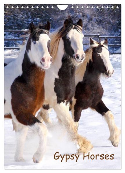 Gypsy's (Wandkalender 2026 DIN A4 hoch) CALVENDO Monatskalender
