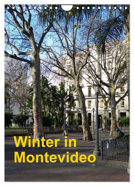 Winter in Montevideo (Wandkalender 2026 DIN A4 hoch) CALVENDO Monatskalender
