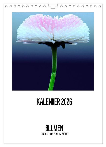 BLUMEN EINFACH IN SZENE GESETZT (Wandkalender 2026 DIN A4 hoch) CALVENDO Monatskalender