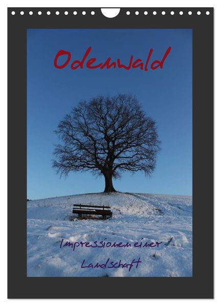 Odenwald - Impressionen einer Landschaft (Wandkalender 2026 DIN A4 hoch) CALVENDO Monatskalender