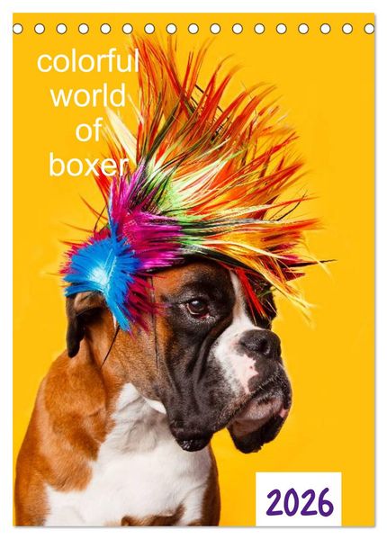colorful world of boxer 2026 (Tischkalender 2026 DIN A5 hoch) CALVENDO Monatskalender