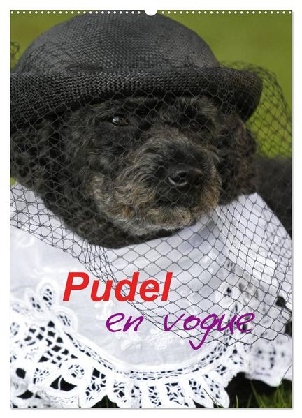 Pudel en vogue (Wandkalender 2026 DIN A2 hoch) CALVENDO Monatskalender