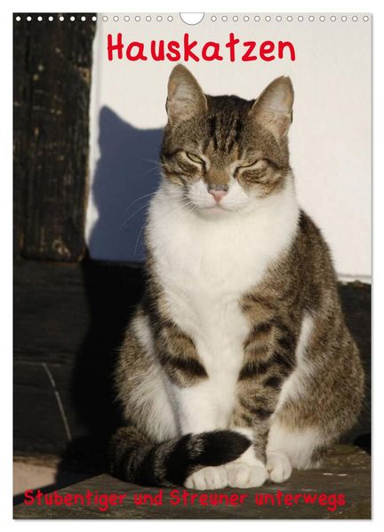 Hauskatzen (Wandkalender 2026 DIN A3 hoch) CALVENDO Monatskalender