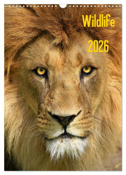 Wildlife 2026 (Wandkalender 2026 DIN A3 hoch) CALVENDO Monatskalender