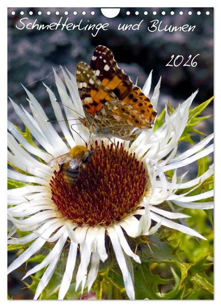 Schmetterlilnge und Blumen (Wandkalender 2026 DIN A4 hoch) CALVENDO Monatskalender