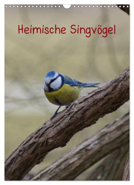 Heimische Singvögel (Wandkalender 2026 DIN A3 hoch) CALVENDO Monatskalender