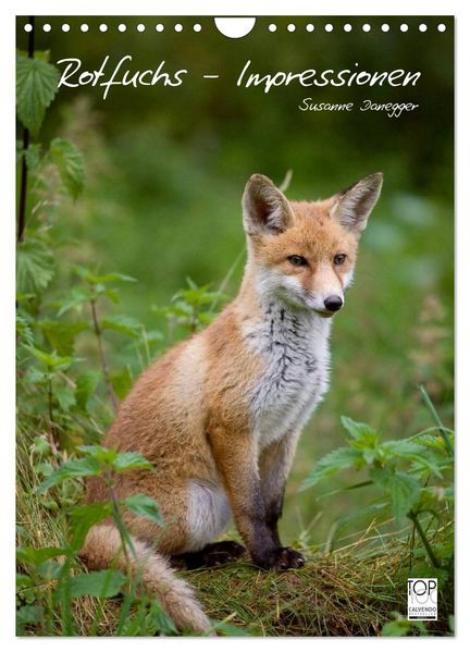 Rotfuchs - Impressionen (Wandkalender 2026 DIN A4 hoch) CALVENDO Monatskalender