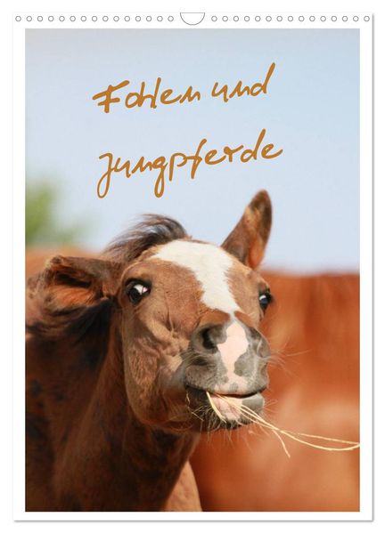 Fohlen und Jungpferde (Wandkalender 2026 DIN A3 hoch) CALVENDO Monatskalender