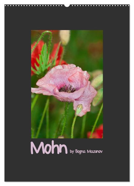 Mohn (Wandkalender 2026 DIN A2 hoch) CALVENDO Monatskalender