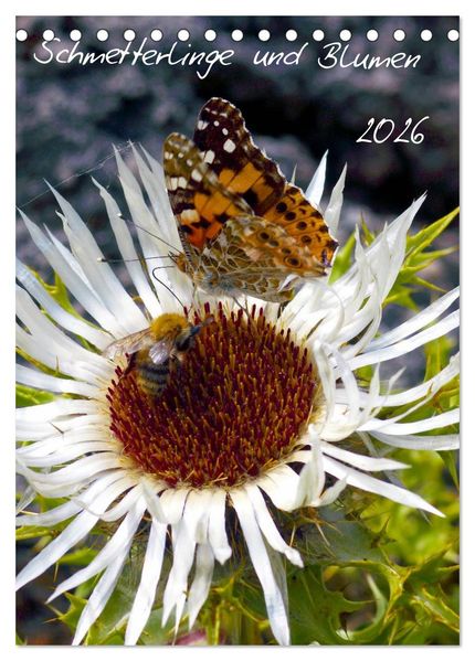 Schmetterlilnge und Blumen (Tischkalender 2026 DIN A5 hoch) CALVENDO Monatskalender