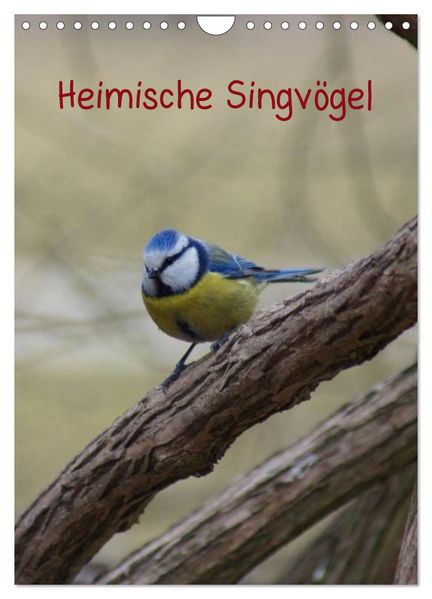 Heimische Singvögel (Wandkalender 2026 DIN A4 hoch) CALVENDO Monatskalender