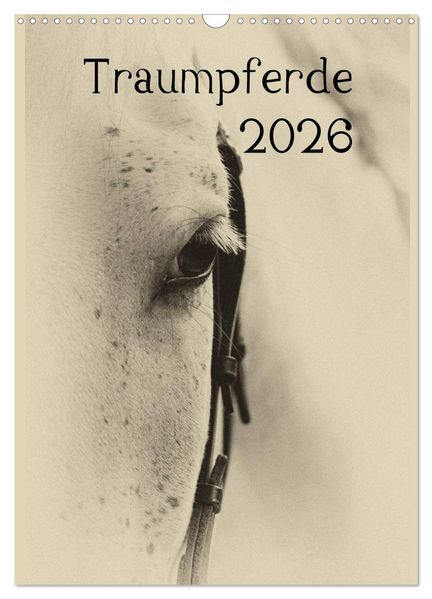 Traumpferde 2026 (Wandkalender 2026 DIN A3 hoch) CALVENDO Monatskalender