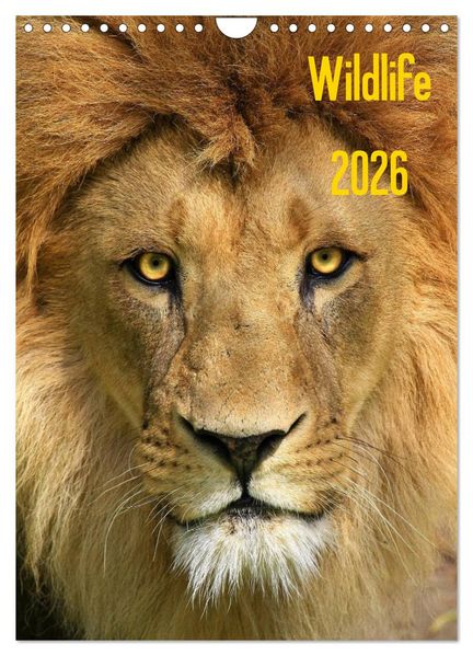 Wildlife 2026 (Wandkalender 2026 DIN A4 hoch) CALVENDO Monatskalender