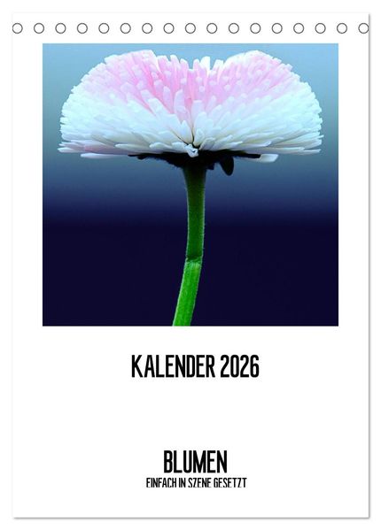 BLUMEN EINFACH IN SZENE GESETZT (Tischkalender 2026 DIN A5 hoch) CALVENDO Monatskalender