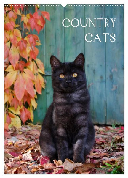 COUNTRY CATS (Wandkalender 2026 DIN A2 hoch) CALVENDO Monatskalender