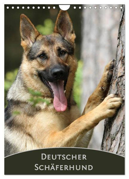 Deutscher Schäferhund (Wandkalender 2026 DIN A4 hoch) CALVENDO Monatskalender