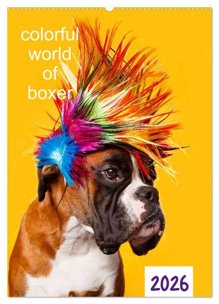 colorful world of boxer 2026 (Wandkalender 2026 DIN A2 hoch) CALVENDO Monatskalender