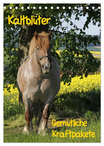Kaltblüter (Tischkalender 2026 DIN A5 hoch) CALVENDO Monatskalender