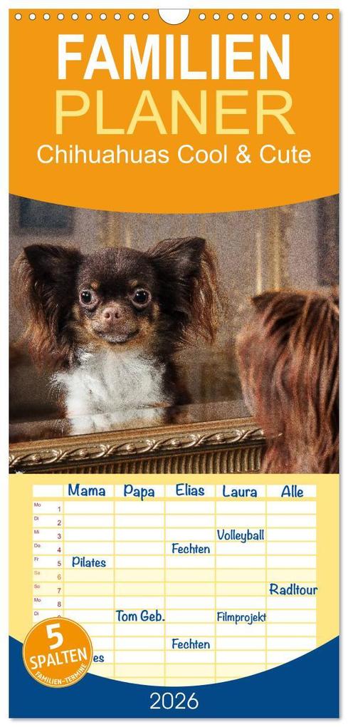 Familienplaner 2026 - Chihuahuas - Cool and Cute mit 5 Spalten (Wandkalender 21 x 45 cm) CALVENDO