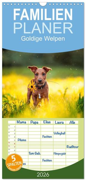 Familienplaner 2026 - Goldige Welpen mit 5 Spalten (Wandkalender 21 x 45 cm) CALVENDO