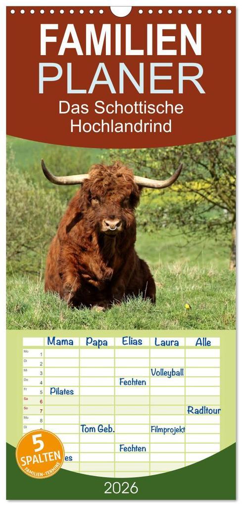 Familienplaner 2026 - Das Schottische Hochlandrind mit 5 Spalten (Wandkalender 21 x 45 cm) CALVENDO
