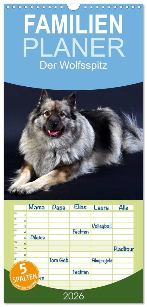 Familienplaner 2026 - Der Wolfsspitz mit 5 Spalten (Wandkalender 21 x 45 cm) CALVENDO