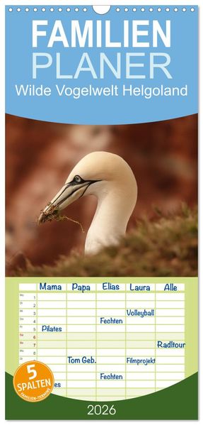 Familienplaner 2026 - Wilde Vogelwelt Helgoland mit 5 Spalten (Wandkalender 21 x 45 cm) CALVENDO