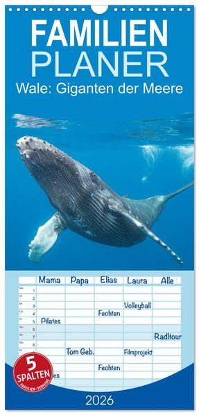 Familienplaner 2026 - Wale: Giganten der Meere mit 5 Spalten (Wandkalender 21 x 45 cm) CALVENDO