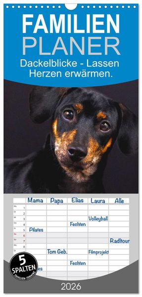 Familienplaner 2026 - Dackelblicke - Lassen Herzen erwärmen. mit 5 Spalten (Wandkalender 21 x 45 cm) CALVENDO