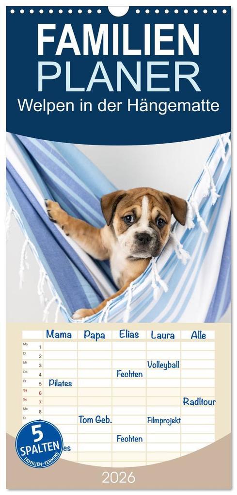 Familienplaner 2026 - Welpen in der Hängematte mit 5 Spalten (Wandkalender 21 x 45 cm) CALVENDO