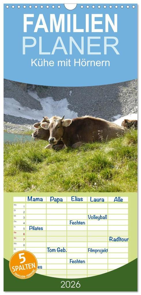 Familienplaner 2026 - Kühe mit Hörnern mit 5 Spalten (Wandkalender 21 x 45 cm) CALVENDO