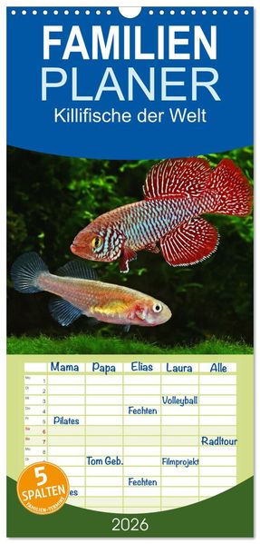 Familienplaner 2026 - Killifische der Welt mit 5 Spalten (Wandkalender 21 x 45 cm) CALVENDO
