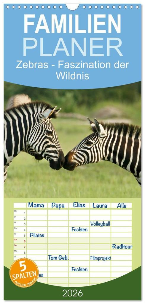Familienplaner 2026 - Zebras - Faszination der Wildnis mit 5 Spalten (Wandkalender 21 x 45 cm) CALVENDO