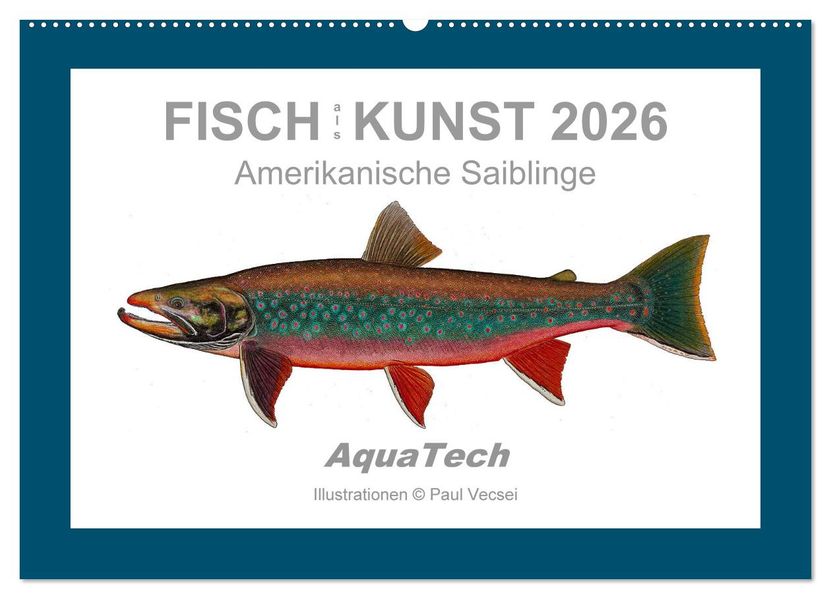 Fisch als Kunst 2026: Amerikanische Saiblinge (Wandkalender 2026 DIN A2 quer) CALVENDO Monatskalender